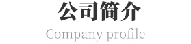 公司简介